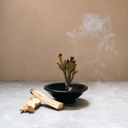 Palo Santo and Palma Dulce (Sweet Palm) Bundle